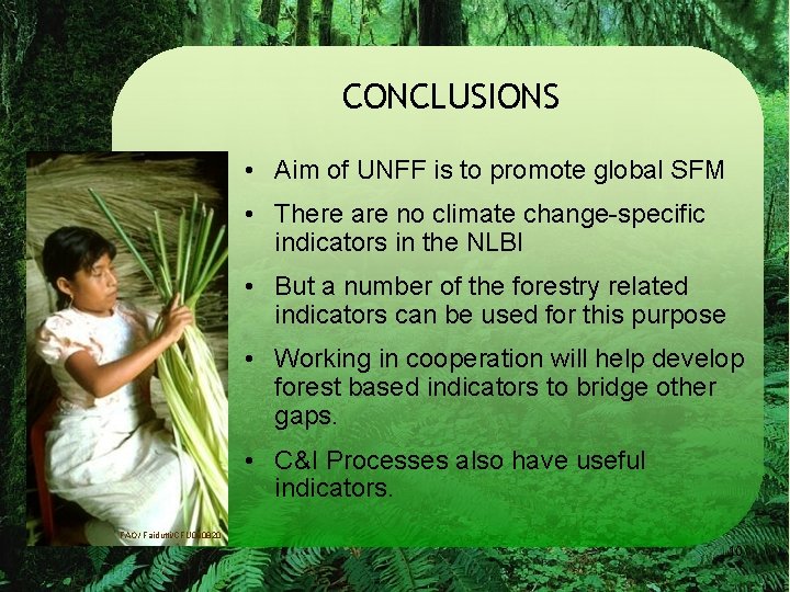 CONCLUSIONS • Aim of UNFF is to promote global SFM • There are no