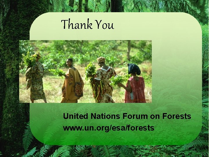 Thank You FAO/ Faidutti/CFU 000304 United Nations Forum on Forests www. un. org/esa/forests 11