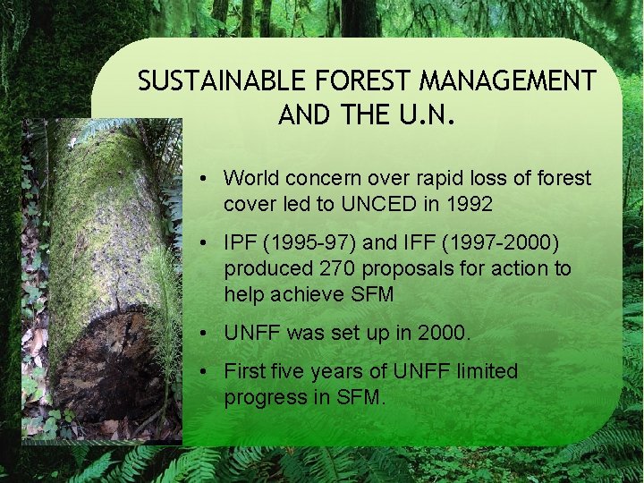 SUSTAINABLE FOREST MANAGEMENT AND THE U. N. • World concern over rapid loss of