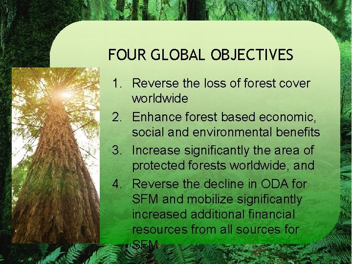 FOUR GLOBAL OBJECTIVES 1. Reverse the loss of forest cover worldwide 2. Enhance forest