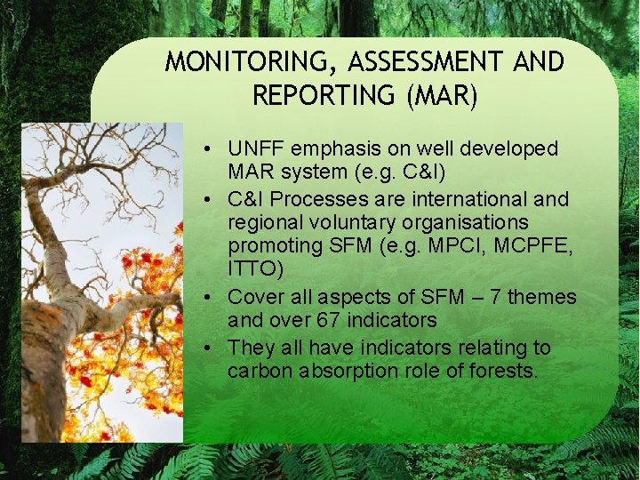 MONITORING, ASSESSMENT AND REPORTING (MAR) • UNFF emphasis on well developed MAR system (e.
