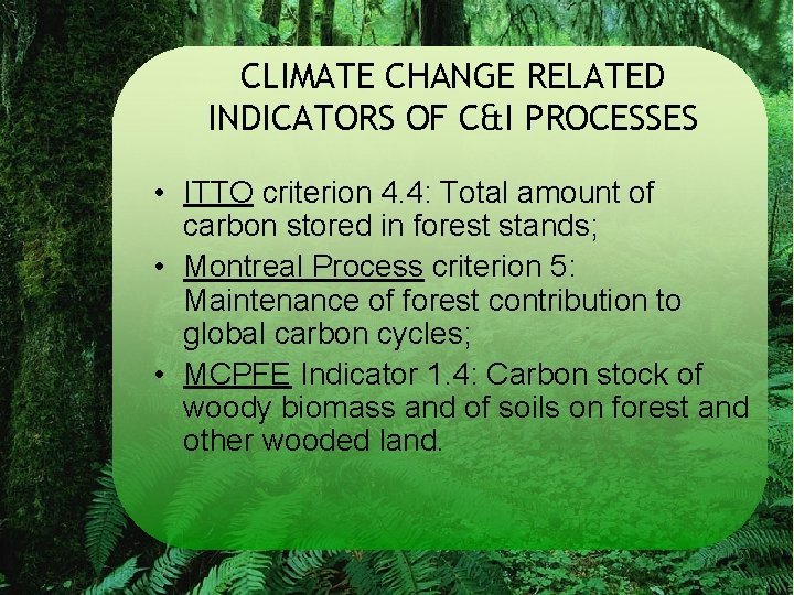 CLIMATE CHANGE RELATED INDICATORS OF C&I PROCESSES • ITTO criterion 4. 4: Total amount