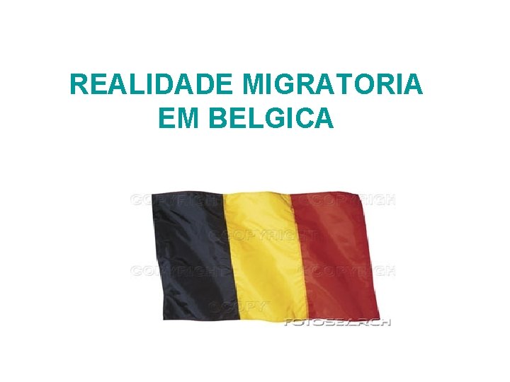 REALIDADE MIGRATORIA EM BELGICA 