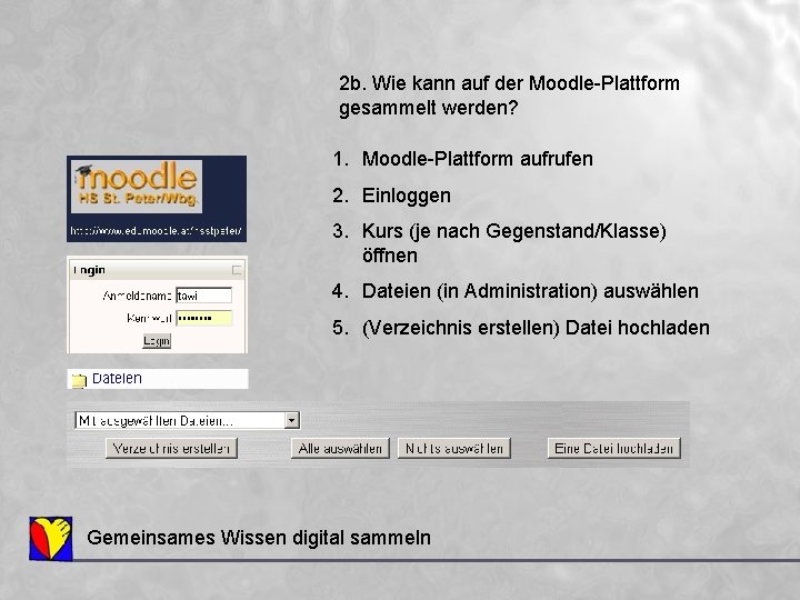 2 b. Wie kann auf der Moodle-Plattform gesammelt werden? 1. Moodle-Plattform aufrufen 2. Einloggen