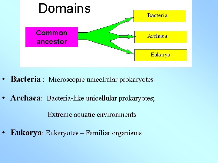 Domains Common ancestor • Bacteria : Microscopic unicellular prokaryotes • Archaea: Bacteria-like unicellular prokaryotes;