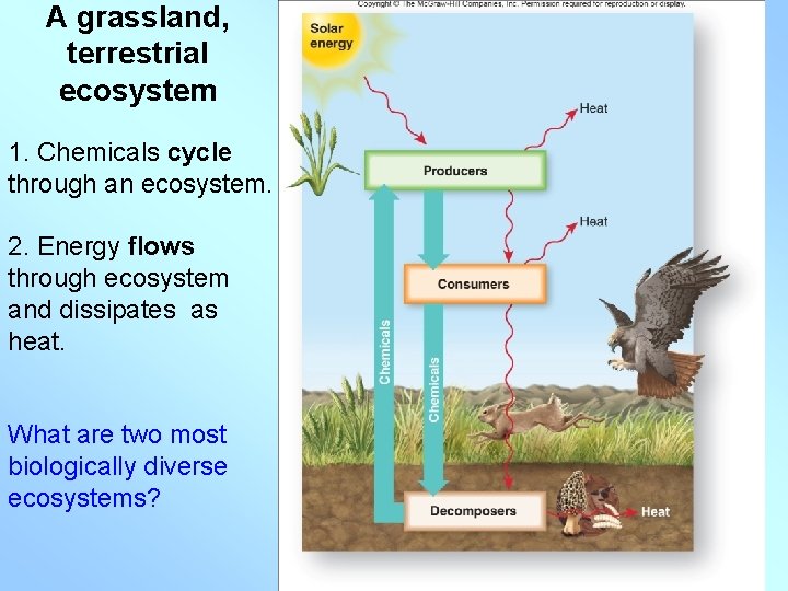 A grassland, terrestrial ecosystem 1. Chemicals cycle through an ecosystem. 2. Energy flows through