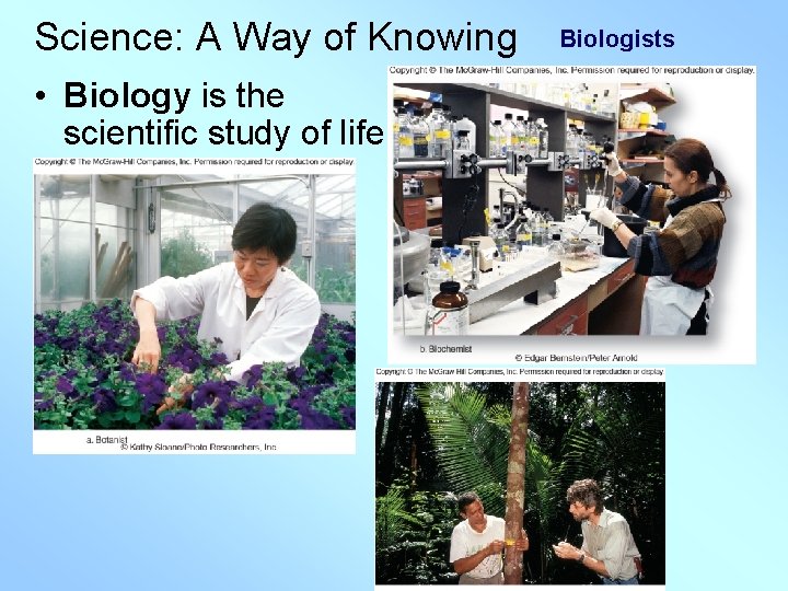 Science: A Way of Knowing • Biology is the scientific study of life. Biologists
