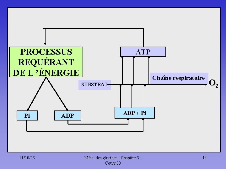 PROCESSUS REQUÉRANT DE L ’ÉNERGIE ATP Chaîne respiratoire SUBSTRAT Pi 11/10/98 ADP + Pi