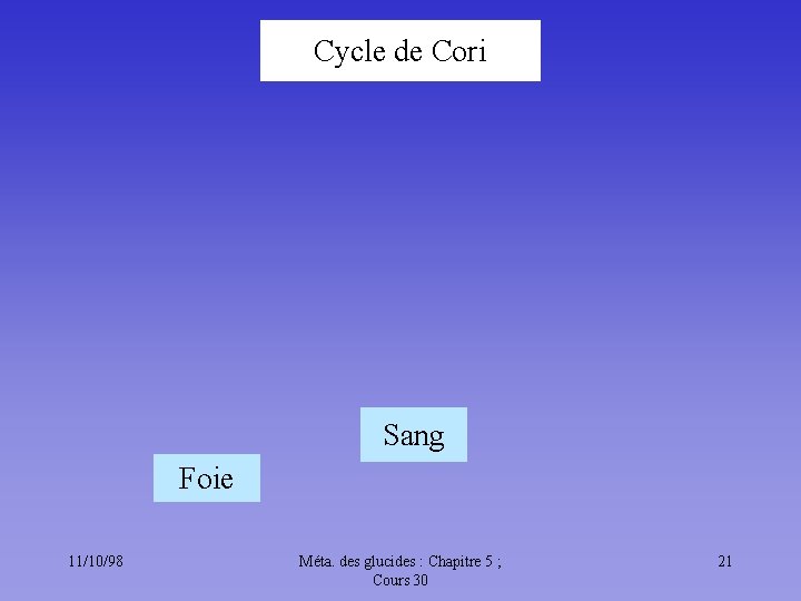 Cycle de Cori Sang Foie 11/10/98 Méta. des glucides : Chapitre 5 ; Cours