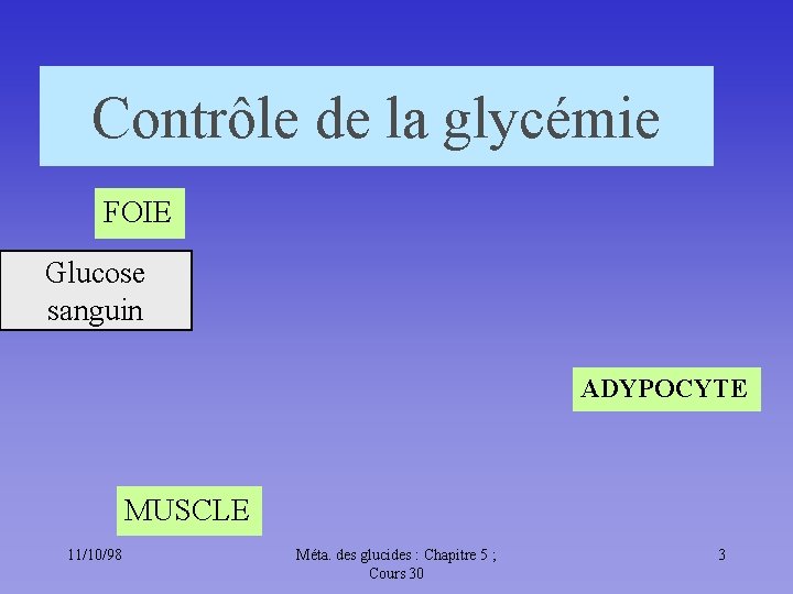 Contrôle de la glycémie FOIE Glucose sanguin ADYPOCYTE MUSCLE 11/10/98 Méta. des glucides :