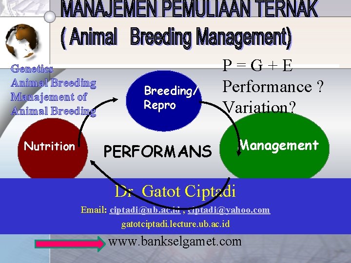 Genetics Animal Breeding Manajement of Animal Breeding Nutrition Breeding/ Repro P=G+E Performance ? Variation?