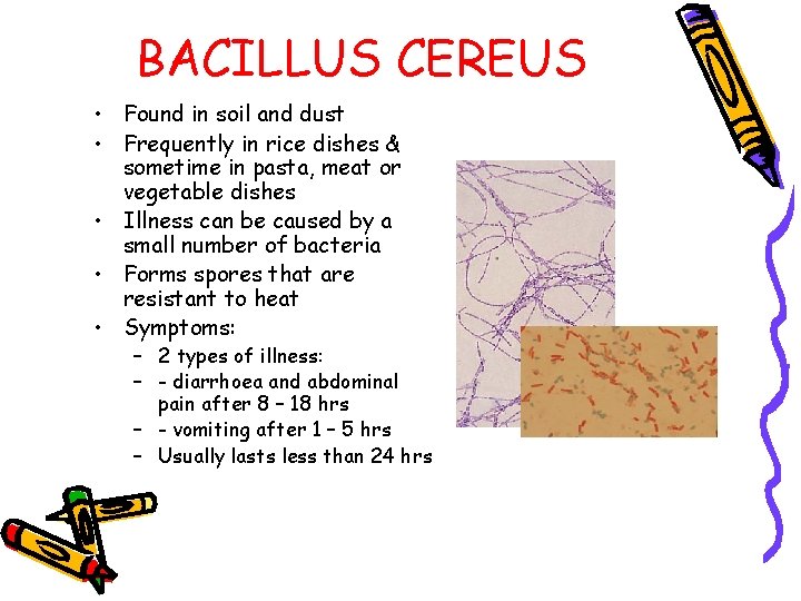 BACILLUS CEREUS • Found in soil and dust • Frequently in rice dishes &