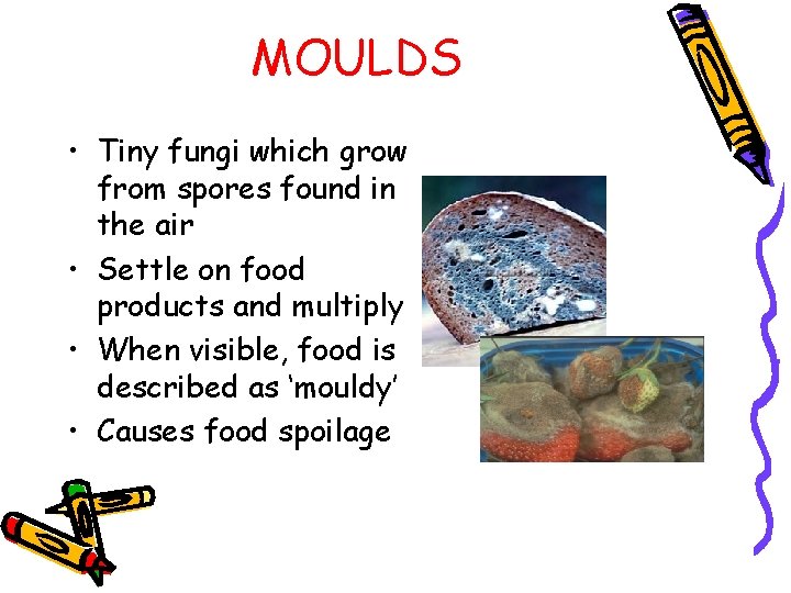 MOULDS • Tiny fungi which grow from spores found in the air • Settle