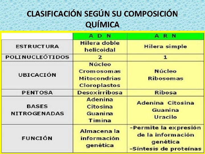 CLASIFICACIÓN SEGÚN SU COMPOSICIÓN QUÍMICA 