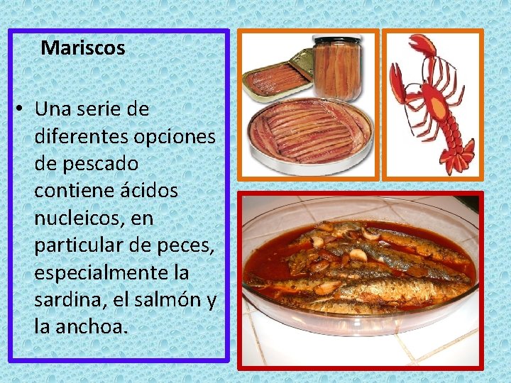 Mariscos • Una serie de diferentes opciones de pescado contiene ácidos nucleicos, en particular