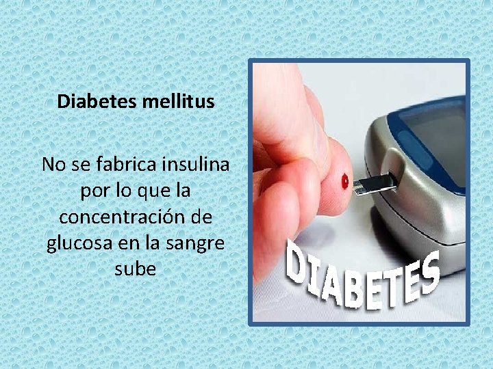 Diabetes mellitus No se fabrica insulina por lo que la concentración de glucosa en