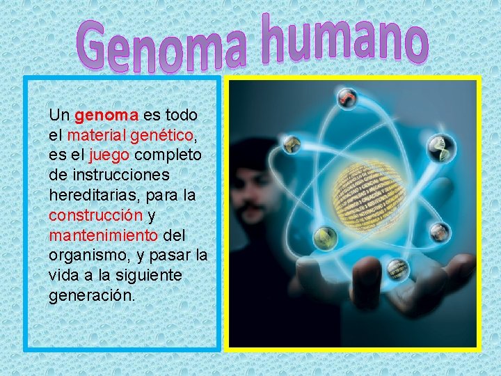 Un genoma es todo el material genético, es el juego completo de instrucciones hereditarias,