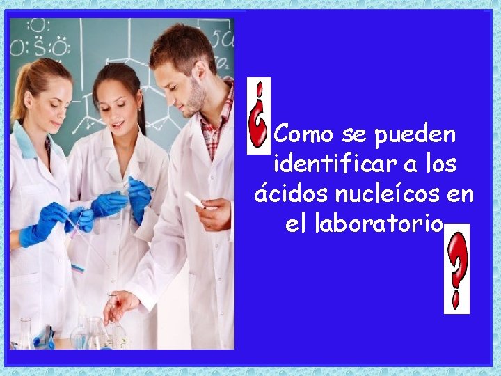 Como se pueden identificar a los ácidos nucleícos en el laboratorio 