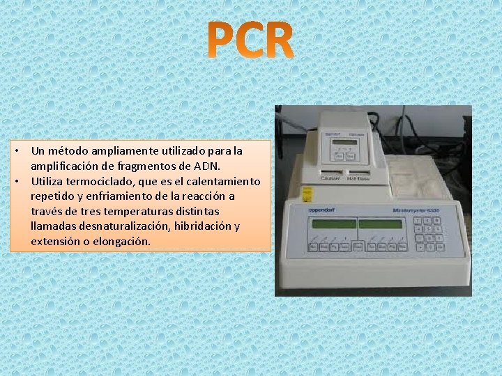  • Un método ampliamente utilizado para la amplificación de fragmentos de ADN. •