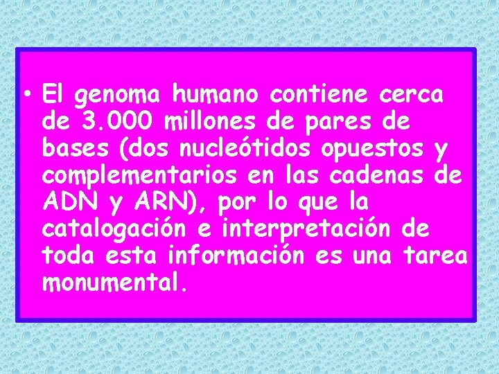  • El genoma humano contiene cerca de 3. 000 millones de pares de