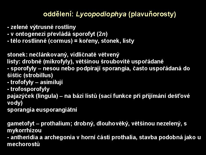 oddělení: Lycopodiophya (plavuňorosty) - zelené výtrusné rostliny - v ontogenezi převládá sporofyt (2 n)