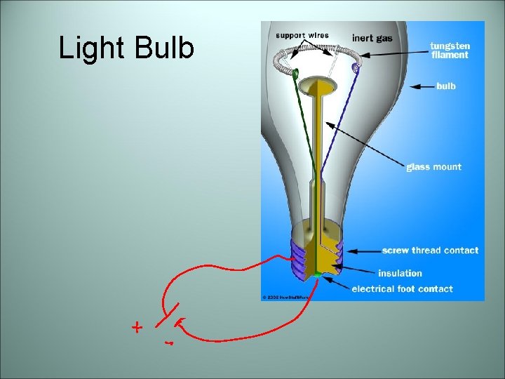 Light Bulb 