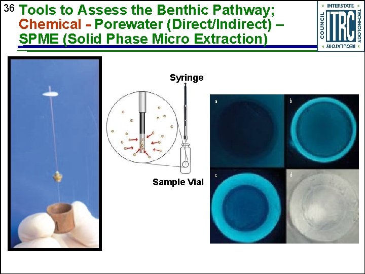 36 Tools to Assess the Benthic Pathway; Chemical - Porewater (Direct/Indirect) – SPME (Solid