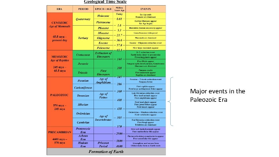 Major events in the Paleozoic Era 