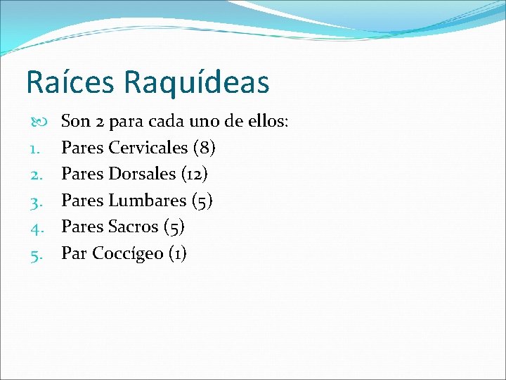 Raíces Raquídeas 1. 2. 3. 4. 5. Son 2 para cada uno de ellos: