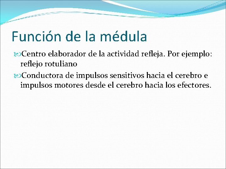 Función de la médula Centro elaborador de la actividad refleja. Por ejemplo: reflejo rotuliano