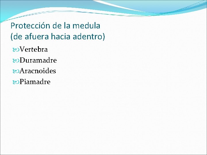 Protección de la medula (de afuera hacia adentro) Vertebra Duramadre Aracnoides Piamadre 