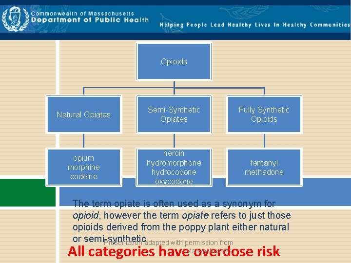 Opioids Natural Opiates Semi-Synthetic Opiates Fully Synthetic Opioids opium morphine codeine heroin hydromorphone hydrocodone