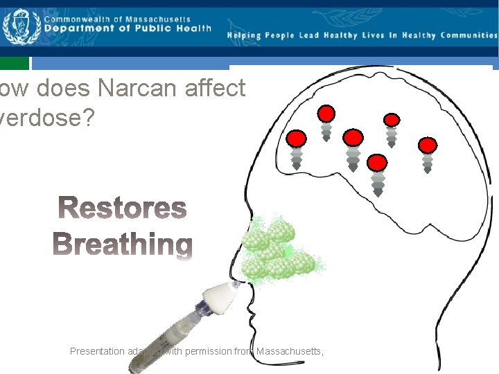 ow does Narcan affect verdose? Presentation adapted with permission from Massachusetts, 