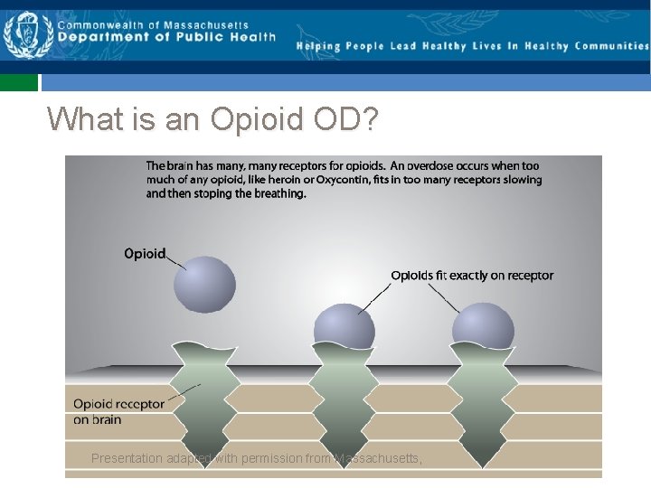 What is an Opioid OD? Presentation adapted with permission from Massachusetts, 