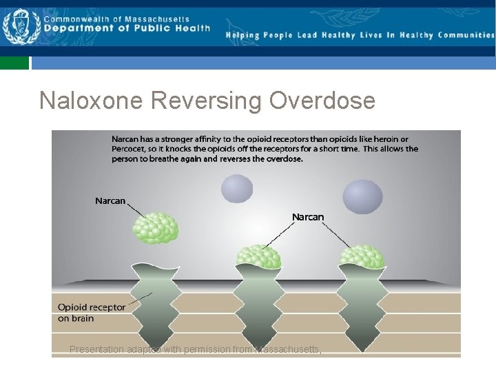 Naloxone Reversing Overdose Presentation adapted with permission from Massachusetts, 