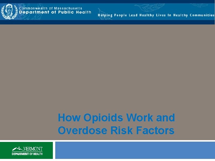 How Opioids Work and Overdose Risk Factors 