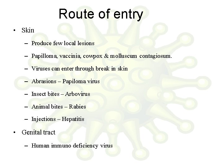 Route of entry • Skin – Produce few local lesions – Papilloma, vaccinia, cowpox