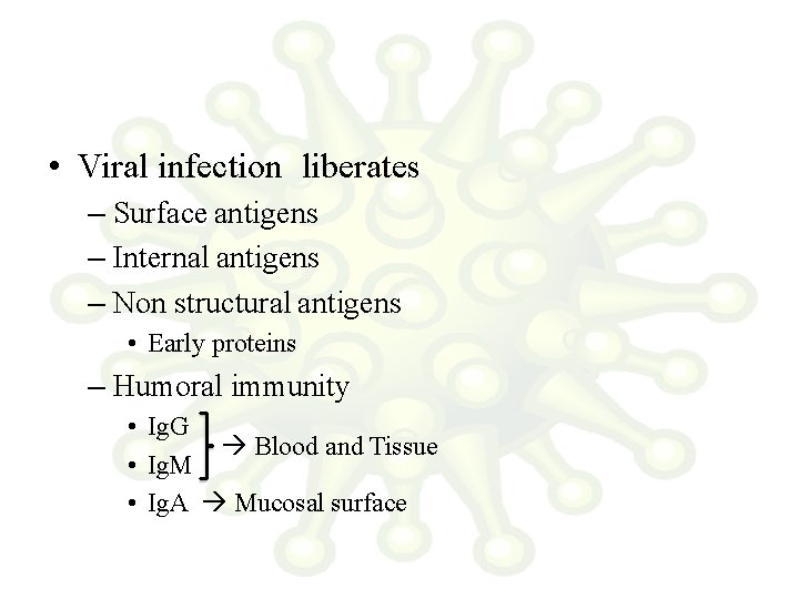  • Viral infection liberates – Surface antigens – Internal antigens – Non structural