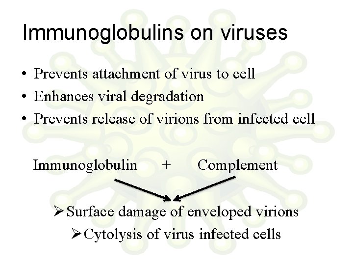 Immunoglobulins on viruses • Prevents attachment of virus to cell • Enhances viral degradation