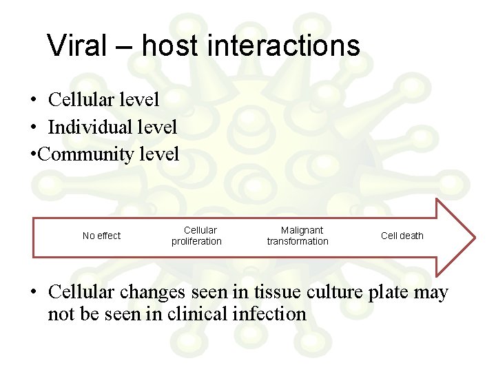 Viral – host interactions • Cellular level • Individual level • Community level No