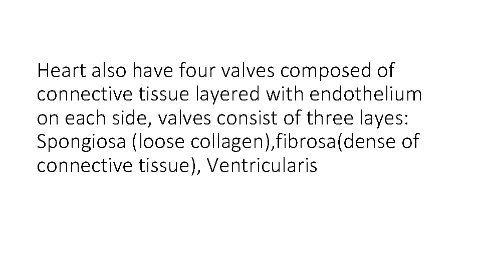 Heart also have four valves composed of connective tissue layered with endothelium on each