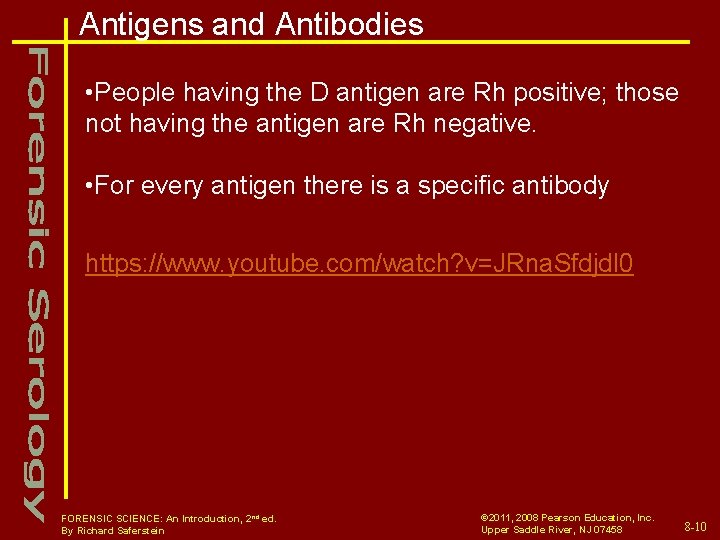 Antigens and Antibodies • People having the D antigen are Rh positive; those not
