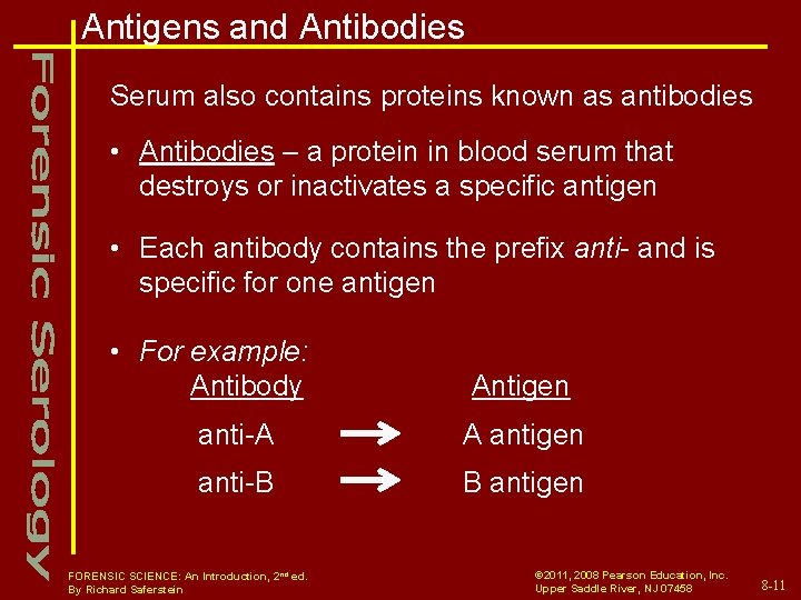 Antigens and Antibodies Serum also contains proteins known as antibodies • Antibodies – a