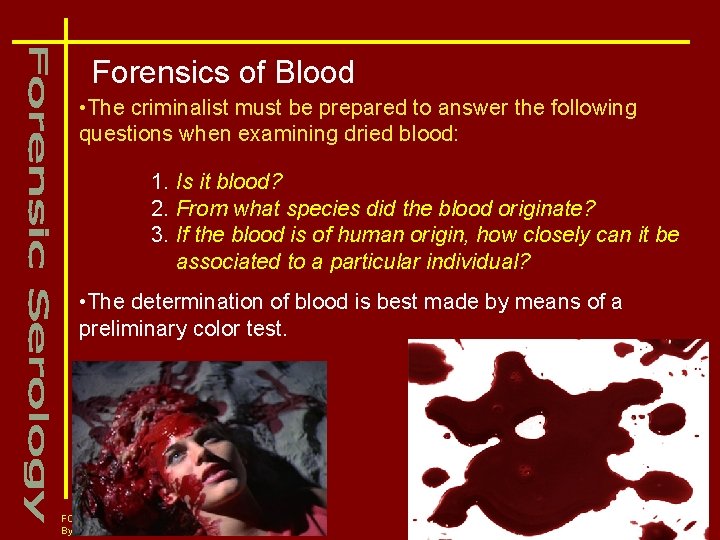 Forensics of Blood • The criminalist must be prepared to answer the following questions