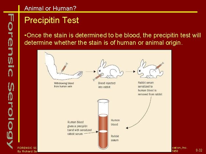 Animal or Human? Precipitin Test • Once the stain is determined to be blood,