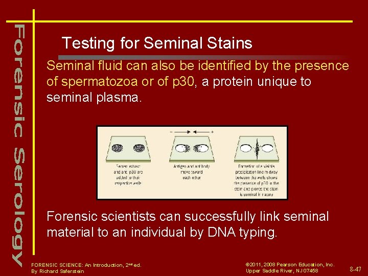 Testing for Seminal Stains Seminal fluid can also be identified by the presence of