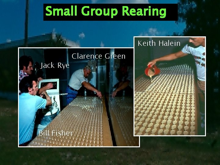 Small Group Rearing Keith Halein Jack Rye Clarence Green Bill Fisher 