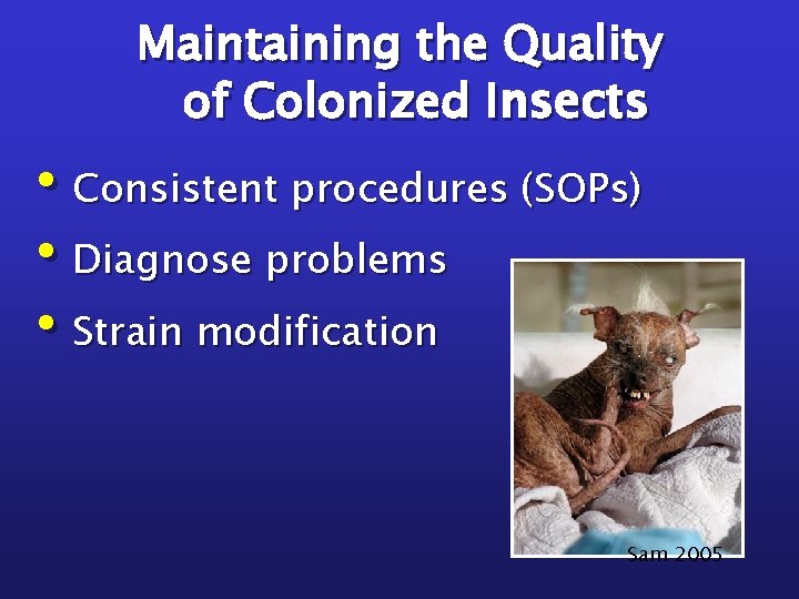 Maintaining the Quality of Colonized Insects • Consistent procedures (SOPs) • Diagnose problems •
