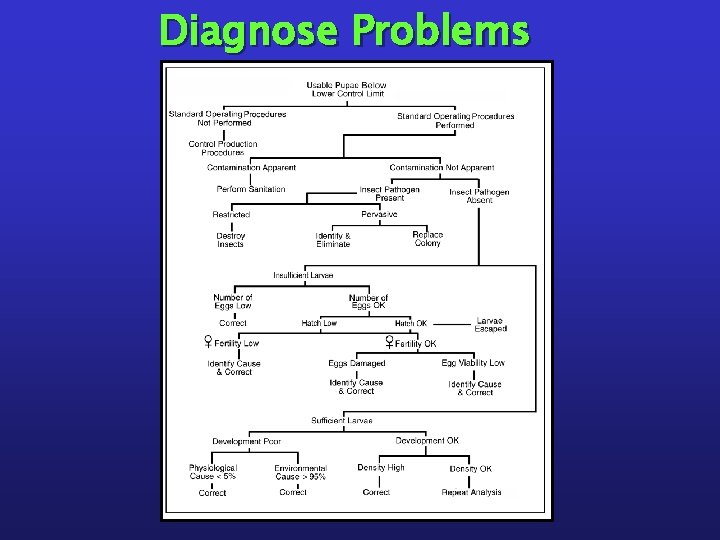 Diagnose Problems 