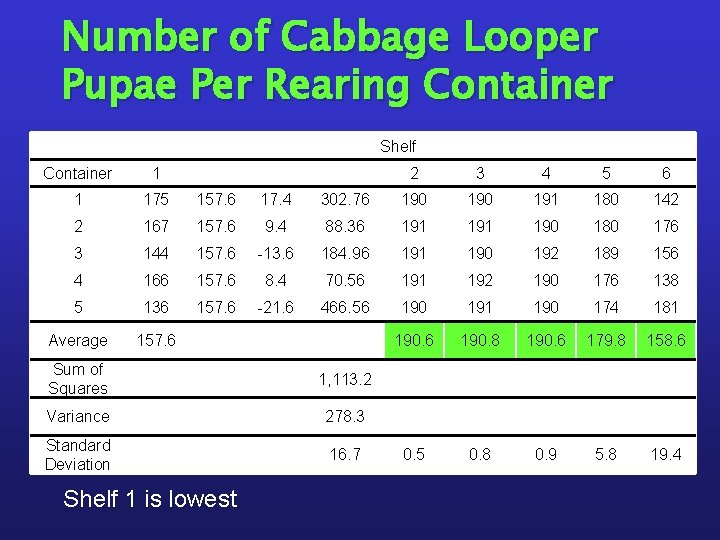 Number of Cabbage Looper Pupae Per Rearing Container Shelf Container 1 2 3 4